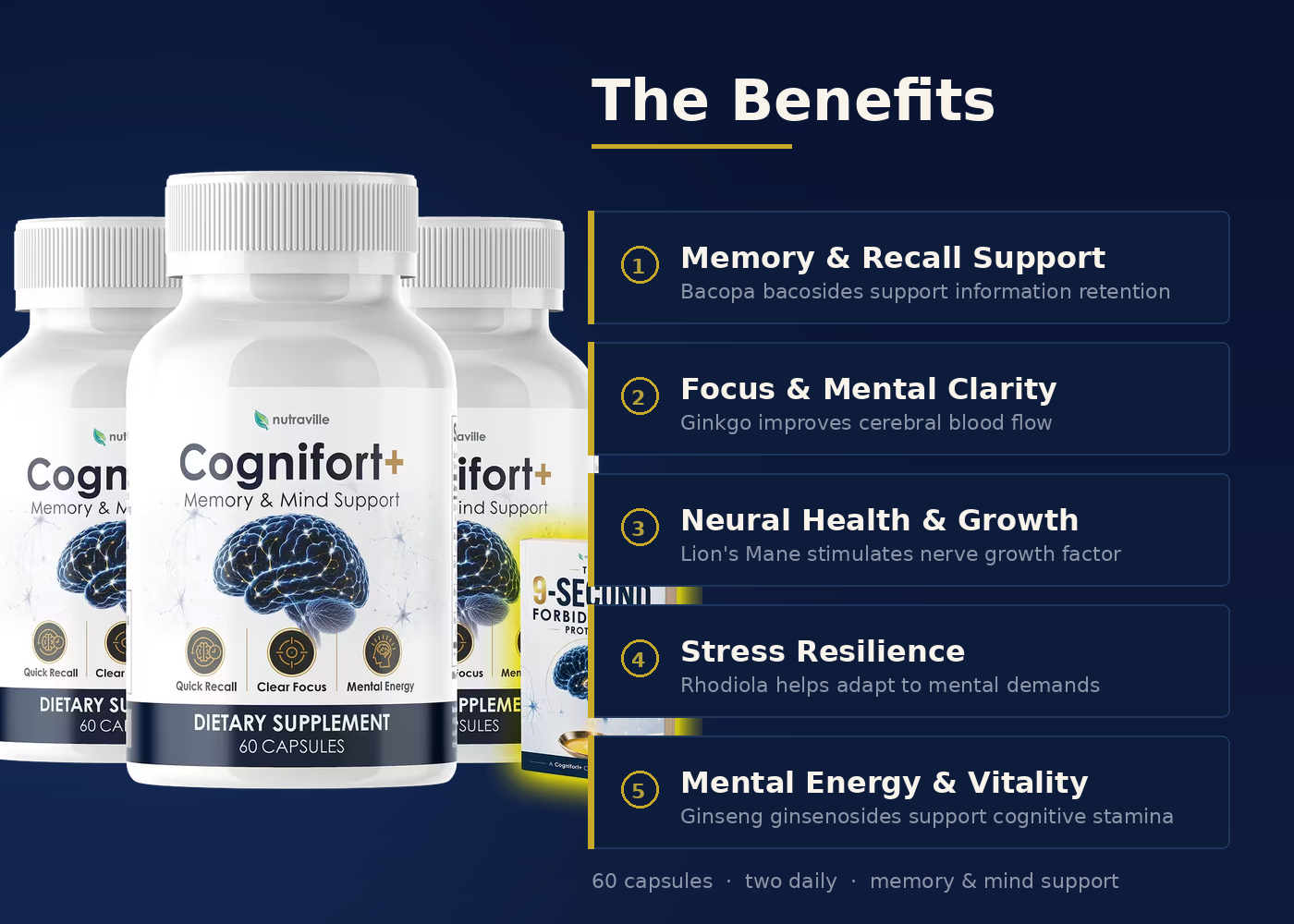 Cognifort benefits — appetite and portion support, steady daily energy, a routine you can keep